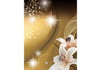 Популярные флизелиновые фотообои цветы 184x254 см Лилии на желто-коричневом фоне (3053V4A)+клей