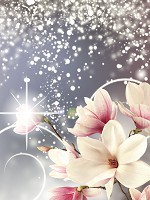 Флізелінові фотошпалери красиві 184x254 см Квіти магнолії та блиск на сірий фон (3054V4A)+клей - вид 1 мініатюра