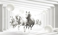 Флизелиновые фотообои 3д животные 312x219 см Белые лошади между столбами (3087VEXXL) +клей