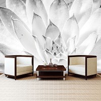 Флизелиновые фотообои цветы 254x184 см Черно-белые листья растения (3118V4)+клей