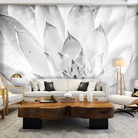 Цветы флизелиновые фотообои 368x254 см Черно-белые листья растения (3118V8)+клей