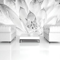 Флизелиновые фотообои цветы на стену 416x254 см Черно-белые листья растения (3118VEXXXL)+клей