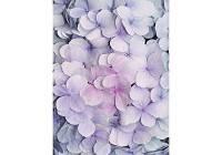 Флизелиновые 3д фотообои в интерьере 206x275 см Цветы гортензии (3121VEA)+клей