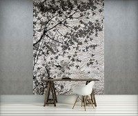 Флизелиновые фотообои бетон 184x254 см Тень дерева на серой стене (3128V4A)+клей