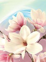 Красиві флізелінові фотошпалери 3д квіти на абстрактному тлі 184x254 см Магнолія (3148V4A)+клей - вид 1 мініатюра