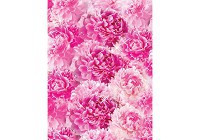 Флізелінові фотошпалери красиві 206x275 см Яскраво рожеві квіти півонії (3189VEA)+клей