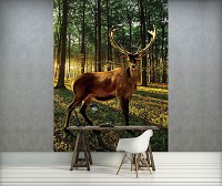 Флизелиновые фотообои 3д Природа Животные 184x254 см Олень в солнечном лесу (3194V4A)+клей