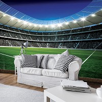 Флизелиновые фотообои на футбольную тематику детские для мальчика 416x254 см 3Д Большой стадион (324VEXXXL)+клей - вид 9 миниатюра
