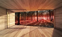 Флизелиновые 3д фотообои 254x184 см Вид из окна террасы на красный лес (3289V4)+клей