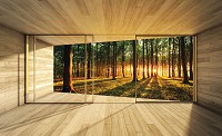 Красивые флизелиновые фотообои на кухню 3д доски 368x254 см Вид из окна террасы на солнечный лес (3307V8)+клей