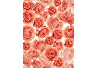 Флизелиновые фотообои в коридор цветы 184x254 см Множество красных роз (3321V4A)+клей