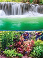 Природа флізелінові фотошпалери 3д краєвид 184x254 см Рослини Риби та Водоспад (3354V4A)+клей - вид 1 мініатюра
