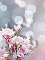 Флізелінові фотошпалери на кухню квіти на світло-сірий фон 206x275 см Чарівні квіти магнолії (3379VEA)+клей - вид 1 мініатюра