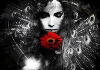 Флизелиновые фотообои черно-белые на стену 312x219 см Женщина с красным цветком (3413VEXXL) +клей