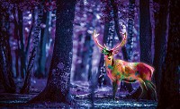Флізелінові сині фотошпалери для спальні тварини 416x254 см Флуоресцентний олень в лісі (3444VEXXXL)+клей - вид 1 мініатюра