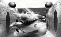 Флизелиновые черно-белые фотообои для зала 254x184 см Дельфины и шары в туннеле 3D (3446V4)+клей