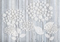 Популярные флизелиновые фотообои 312x219 см Белые цветы на серых досках (3448VEXXL)+клей