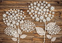 Флизелиновые фотообои 312x219 см Белые цветы на коричневых досках (3452VEXXL)+клей - вид 1 миниатюра