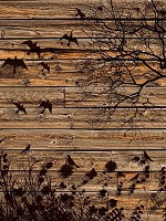 Флізелінові коричневі фотошпалери 206x275 см Чорне дерево квіти та пташки на дошках (3487VEA)+клей - вид 1 мініатюра