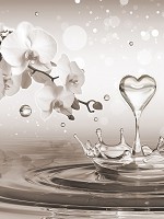 Флизелиновые 3д фотообои цветы 206x275 см Сердце на воде с белыми орхидеями (3495VEA)+клей - вид 1 миниатюра