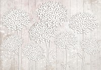 Флизелиновые фото обои имитация дерева 368х254 см Пушистые белые цветы на светлых досках (3502V8)+клей - вид 1 миниатюра
