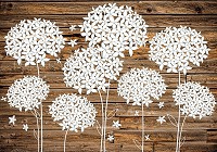 Флизелиновые коричневые фотообои в коридор 254x184 см Пушистые белые цветы на деревянных досках (3504V4)+клей