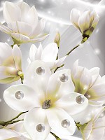 Флизелиновые фотообои в спальню 3д большие белые цветы и жемчужины 184x254 см Лепестки магнолии (3507V4A)+клей - вид 1 миниатюра