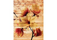 Флизелиновые фотообои на всю стену 206x275 см Цветы магнолии на деревянных досках (3520VEA)+клей - вид 1 миниатюра