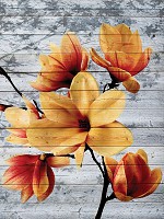 Флизелиновые фотообои для спальни Магнолии на сером 184x254 см Оранжевые цветы на деревянных досках (3521V4A)+клей - вид 1 миниатюра