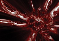 Флизелиновые фотообои 312x219 см Темный абстрактный цветок (3532VEXXL)+клей