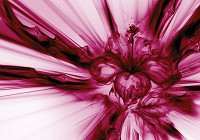 Флизелиновые фотообои в коридор 312x219 см Красный абстрактный цветок (3533VEXXL)+клей