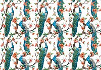 Флізелінові фотошпалери на стіну птахи 254x184 см Павичі на гілках на білому тлі (3610V4)+клей