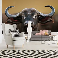 3д коричневые флизелиновые фотообои животные на стену 254x184 см Африканский буйвол (3618V4)+клей