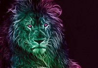 Готовые флизелиновые фотообои 3д дикие кошки животные 312x219 см Лев абстракция на черном фоне (3632VEXXL)+клей
