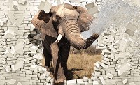 Флизелиновые фотообои на стену 3д животные 254x184 см Слон прорывается через кирпичную стену (3638V4)+клей