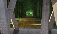 Флизелиновые фотообои для зала Аллея Ландшафт 254x184см Длинная лесная дорога за 3D бетонными колоннами 3658V4+клей