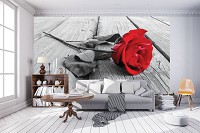 Флизелиновые фотообои черно-белые 3д цветы 312x219 см Красная роза на серых досках (3671VEXXL)+клей