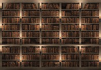 Флизелиновые коричневые фотообои книжные полки в интерьере шкаф 368x254 см Библиотека полная книг (3688V8)+клей - вид 1 миниатюра