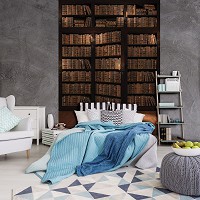 Флизелиновые коричневые фотообои книжный шкаф 206x275 см Библиотека полная книг (3690VEA)+клей