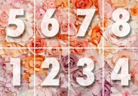 Фотообои 366х254 см Wizard+Genius 147 Розовые цветы 8 сегментов (7611487064930)+клей - вид 3 миниатюра