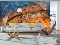 Ремонт гостиной с флизелиновыми фотообоями 416x254 см Колизей (848VEXXXL)+клей