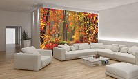 3д флізелінові фотошпалери до зали 254x184 см Гарний осінній ліс (4-002V4)+клей - вид 5 мініатюра