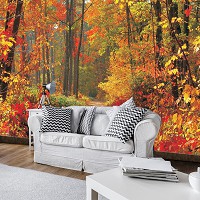 3д флизелиновые фотообои в зал 254x184 см Красивый осенний лес (4-002V4)+клей