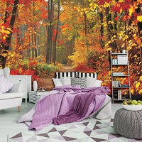 Флизелиновые фотообои 3д для зала 416x254 см Красивый осенний лес (4-002VEXXXL)+клей