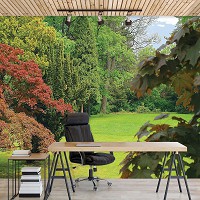 Флізелінові зелені фотошпалери у вітальню Природа Ландшафт 254x184 см Полянка у лісі (4-004V4)+клей