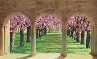 Флизелиновые фотообои 3д для зала Природа Ландшафт Пейзаж 254x184 см Вишневый сад за арками (438V4)+клей