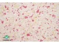 Жидкие обои Юрски Глициния 502 Комбинированный