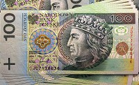 Флізелінові фотошпалери на стіну в залі 254x184 см Банкноти польського злотого (504V4)+клей