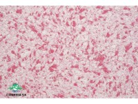 Жидкие обои Юрски Глициния 510 Малиновый