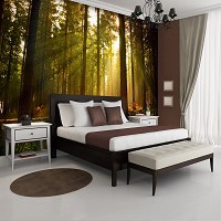 Флизелиновые 3д фотообои в зал квартиры 312x219 см Солнечные лучи в лесу (576VEXXL)+клей - вид 5 миниатюра